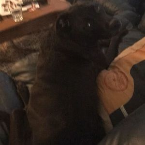 Meet your Posher, Andrea